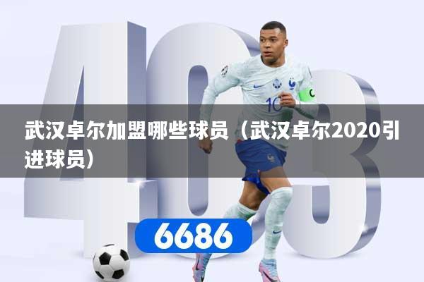 武汉卓尔加盟哪些球员（武汉卓尔2020引进球员）